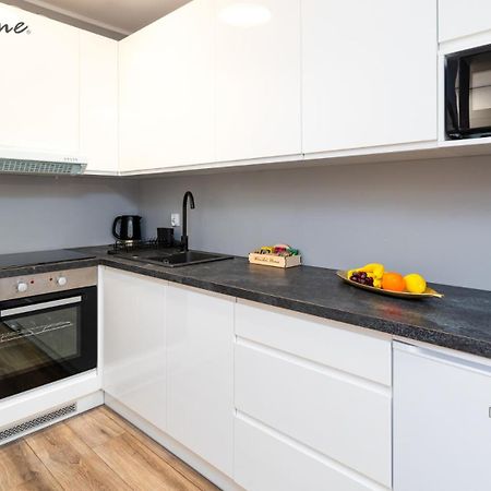 Wonder Home - Apartamenty W Sercu Karpacza, Blisko Deptaka I Terenow Zielonych Екстериор снимка